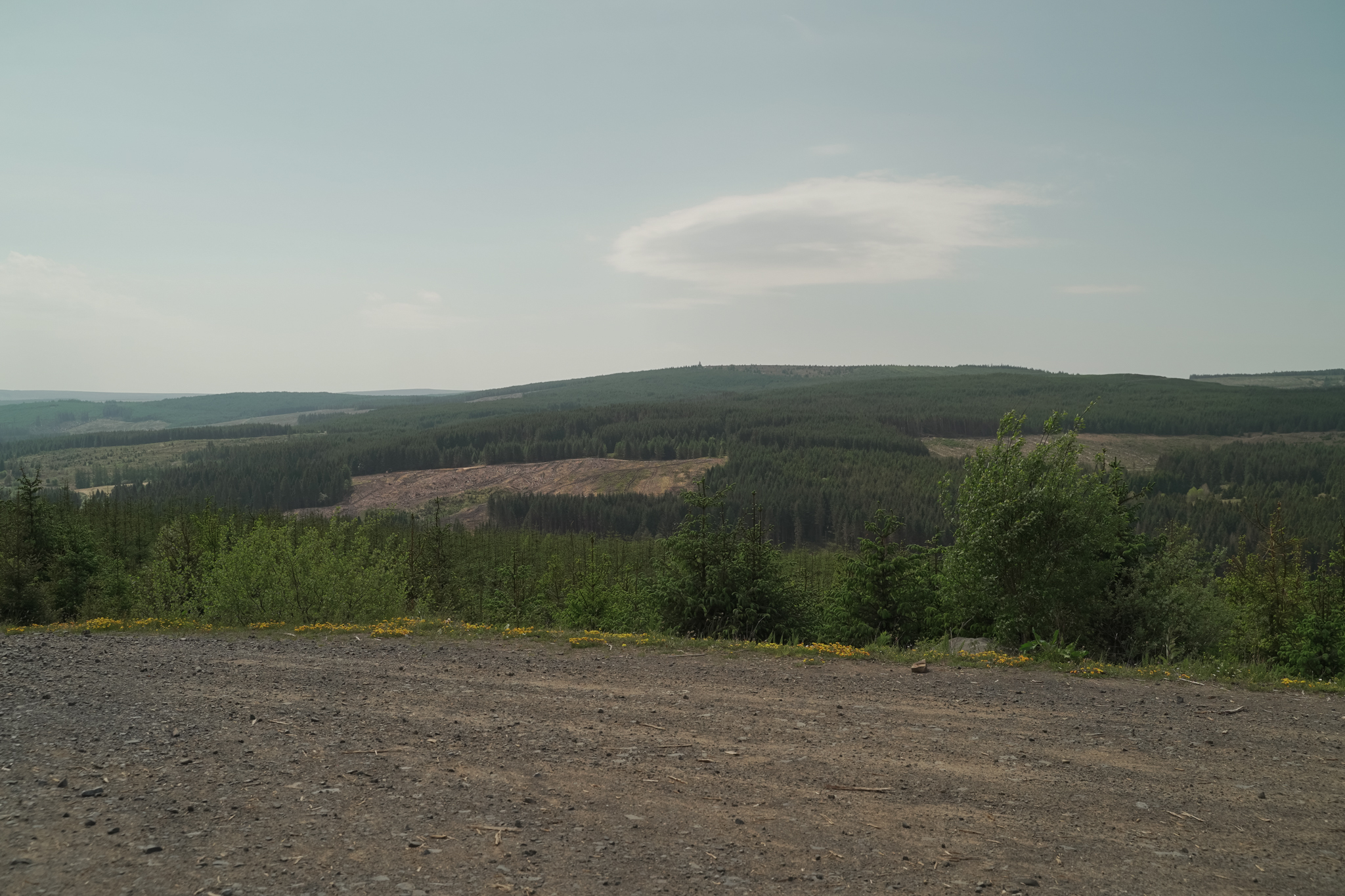 Kielder Forest panoramic landscape