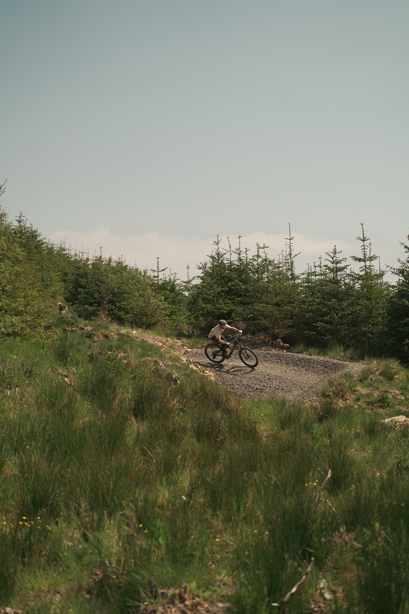 Kielder Forest trail