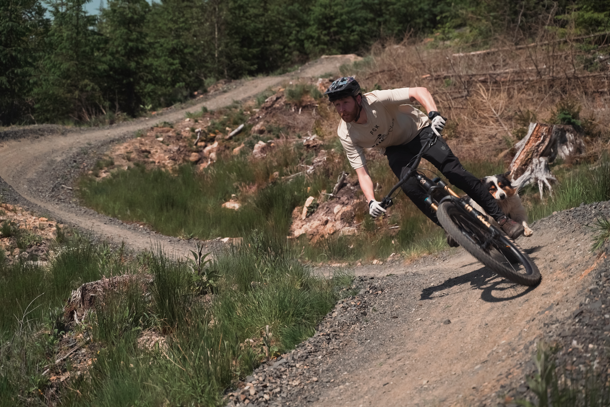 Forest trail cycling