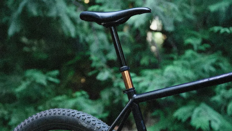 PNW | LTD Loam Brass Monkey Dropper Post