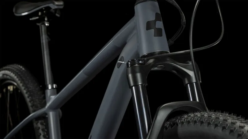 Cube Acid Mountain Bike in Grey and Pearlgrey-3