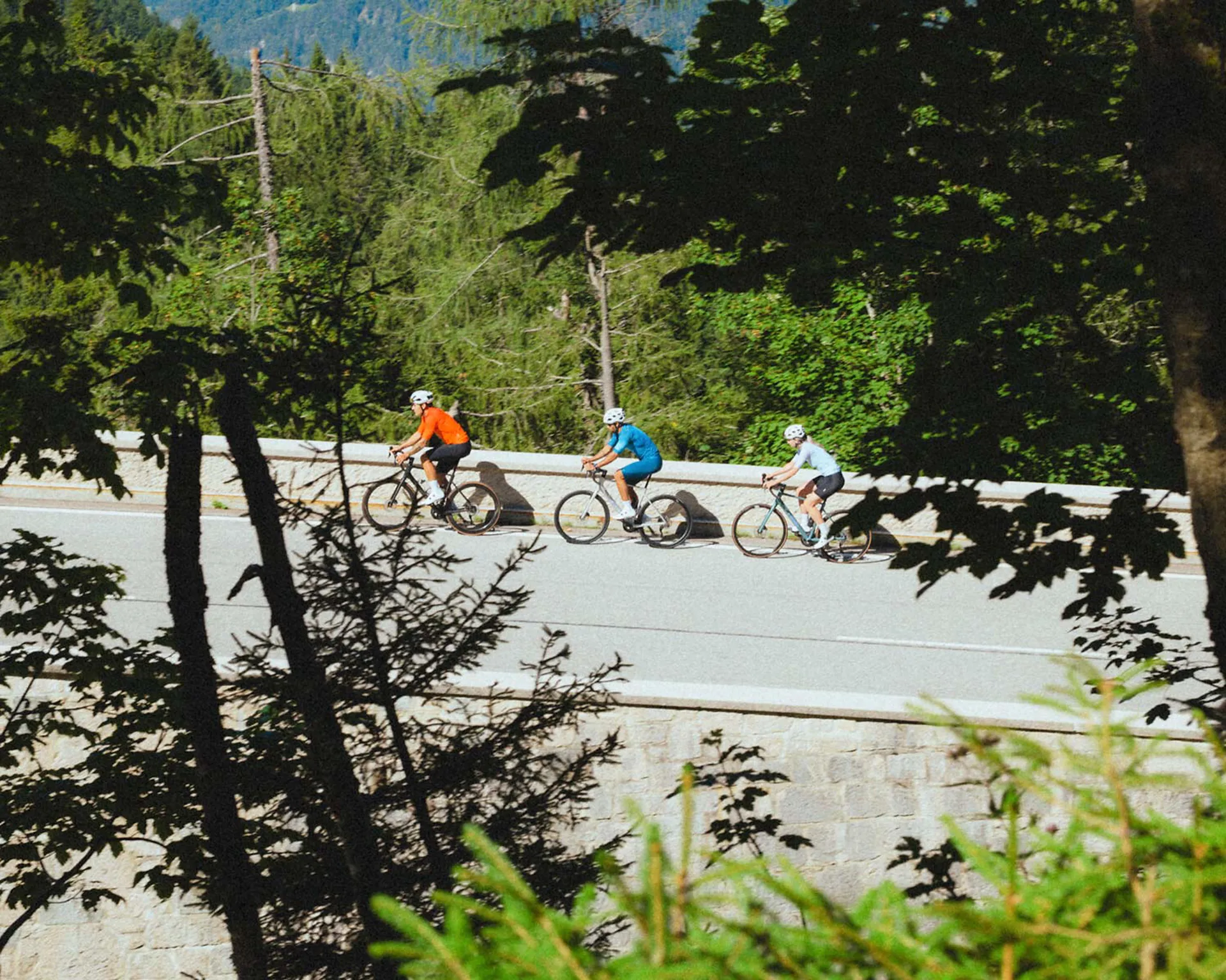 Road Bikes