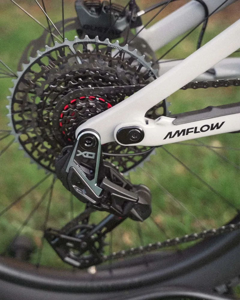 Amflow PX Carbon Pro rear derailleur