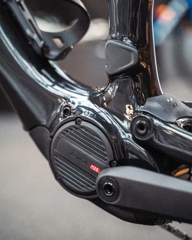 Amflow PX Carbon motor detail