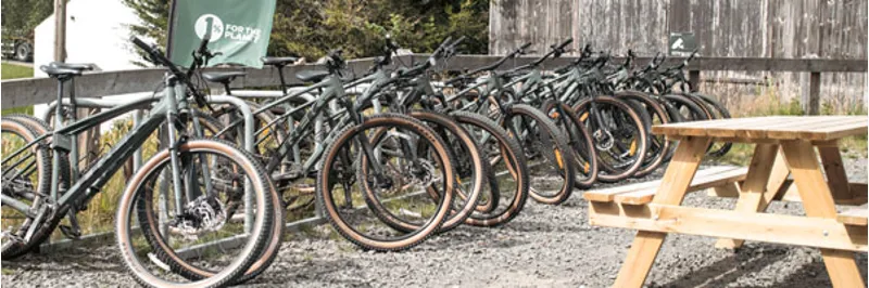 Kielder Forest Ex Hire Bikes | Top Quality Bikes at Great Prices
