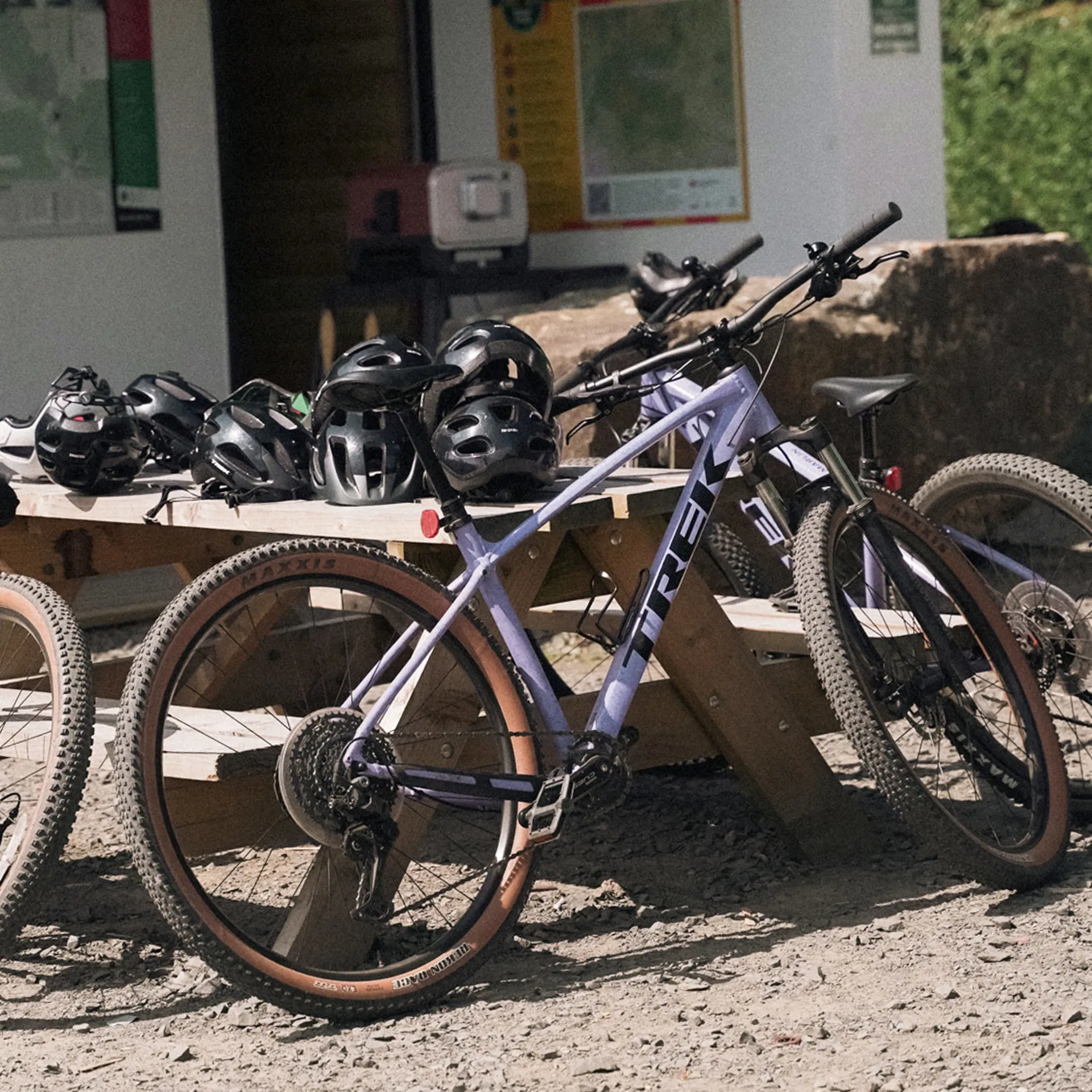 Trek Hybrid Bike in the woods