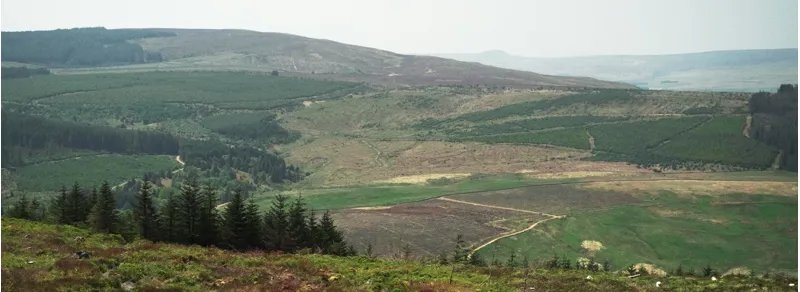 Kielder Forest | Campsites and Accommodation