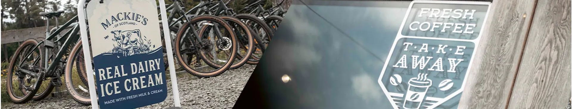 Book your Kielder Forest team day