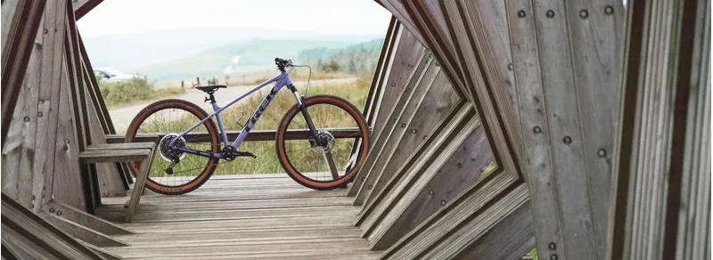Kielder Forest Ex Hire Bikes | Top Quality Bikes at Great Prices