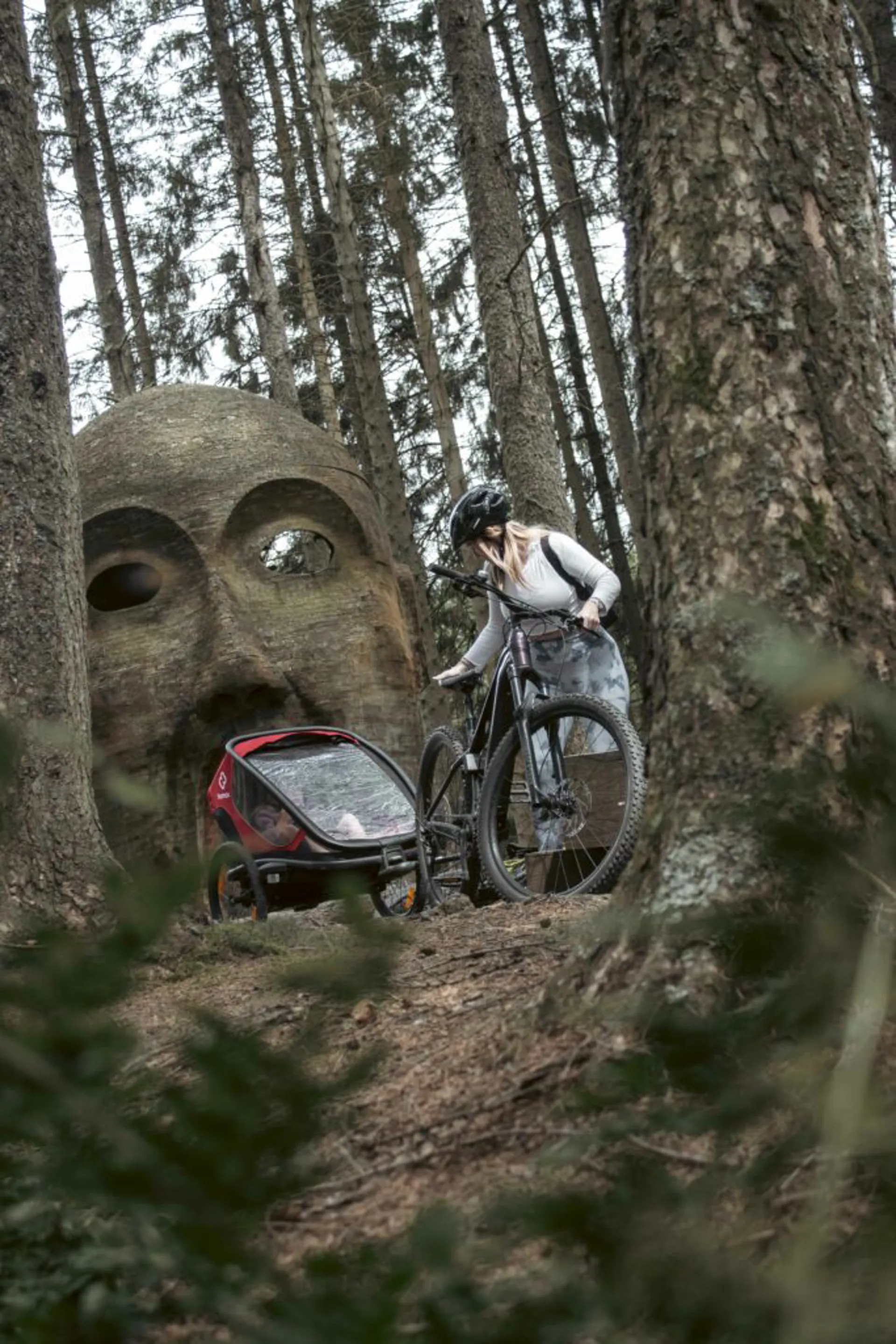 Cycling at Kielder Forest