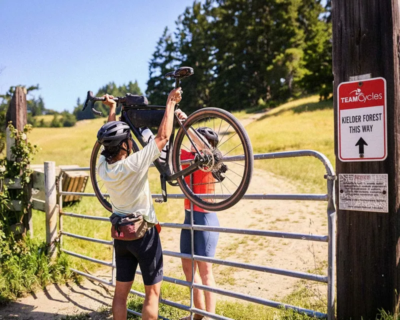 TREK Gravel Bikes at Team Cycles