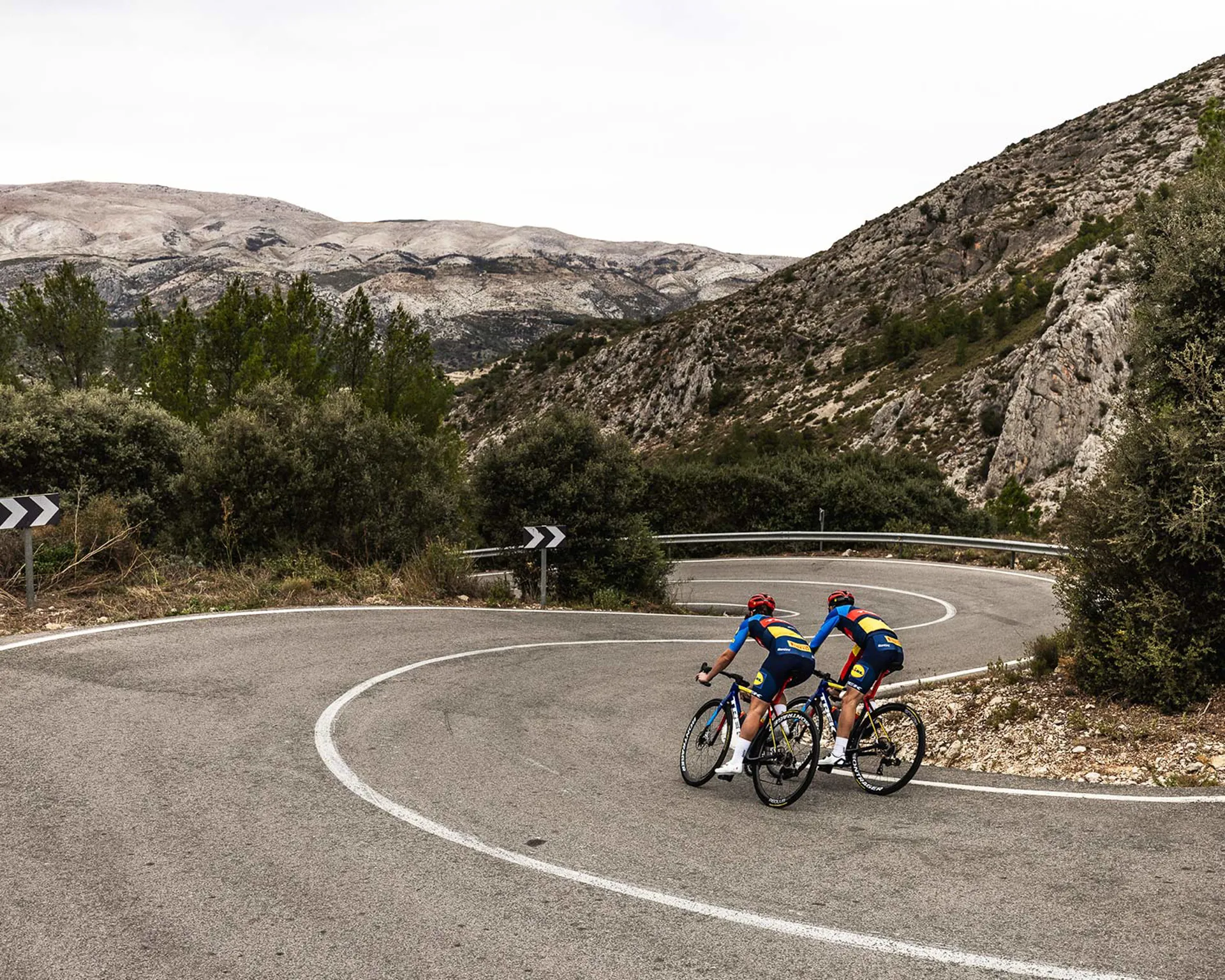 TREK Road Bikes at Team Cycles
