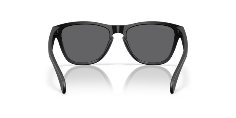 Oakley Frogskin S Sunglasses in Black and Prizm Black Polar-3