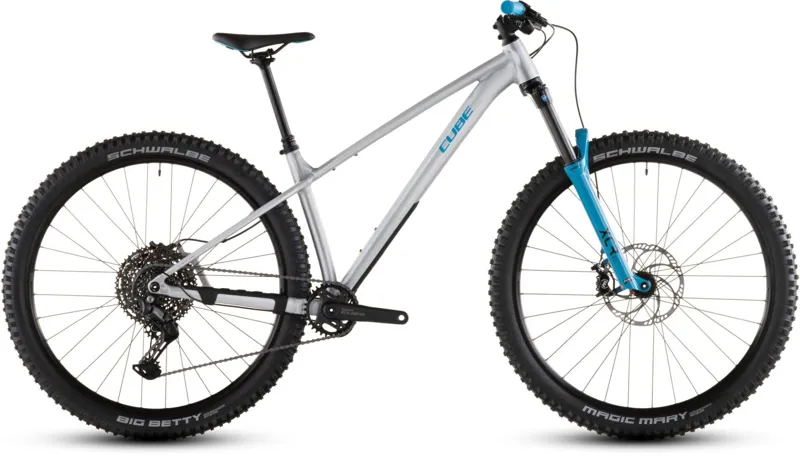 Cube Reaction TM One Mountain Bike in Rawmetal and Blue