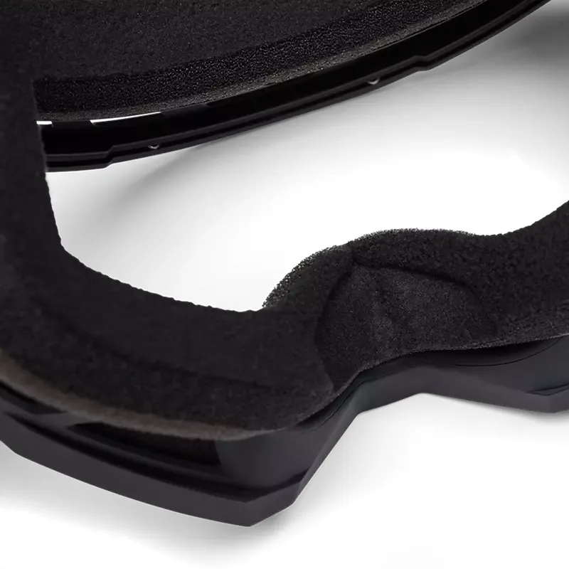 Fox MTB Main Goggles in Black-4