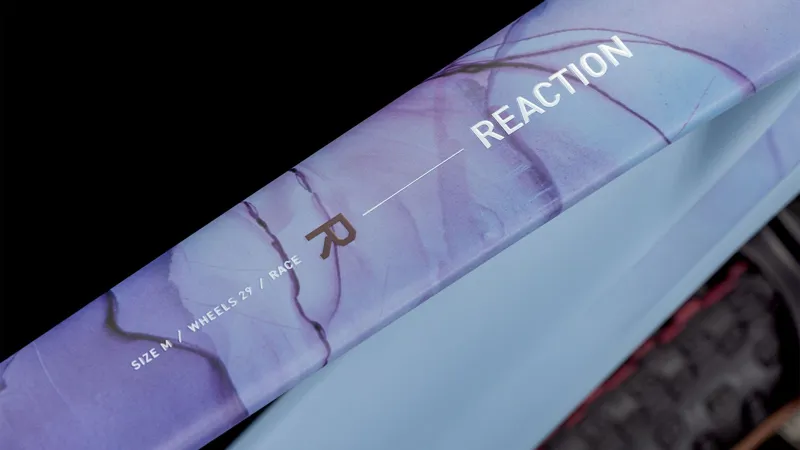 Cube Reaction C:62 Race Mountain Bike in Pigeonblue and Art-1