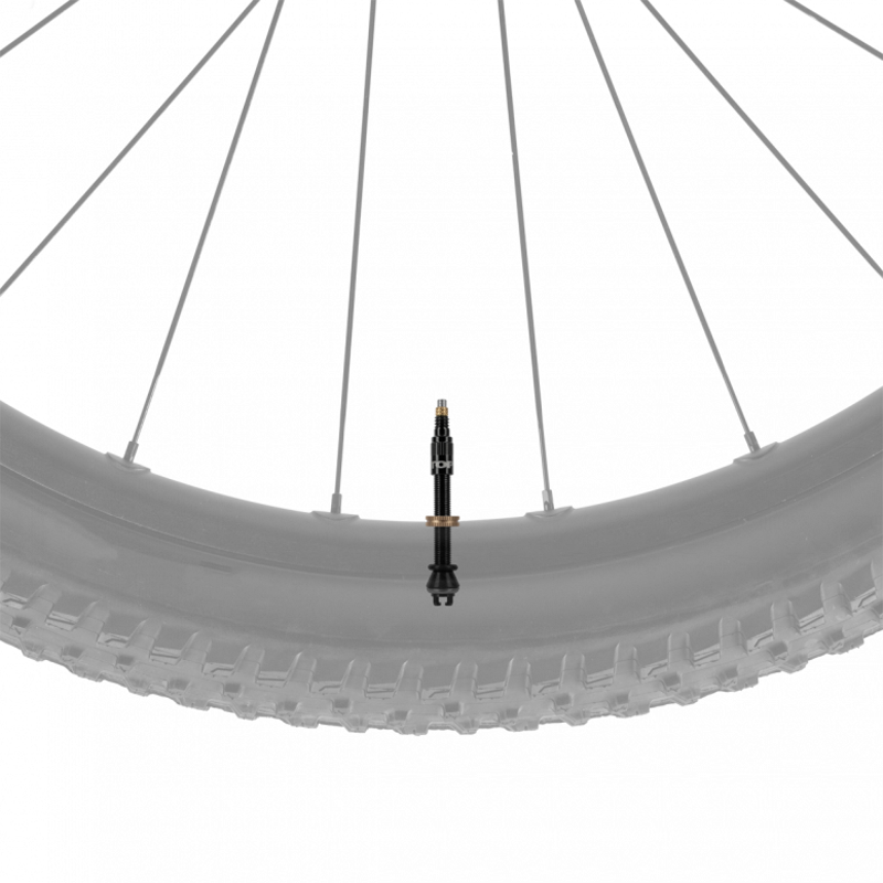 Topeak Turboflow Tubeless Valve Kit-1