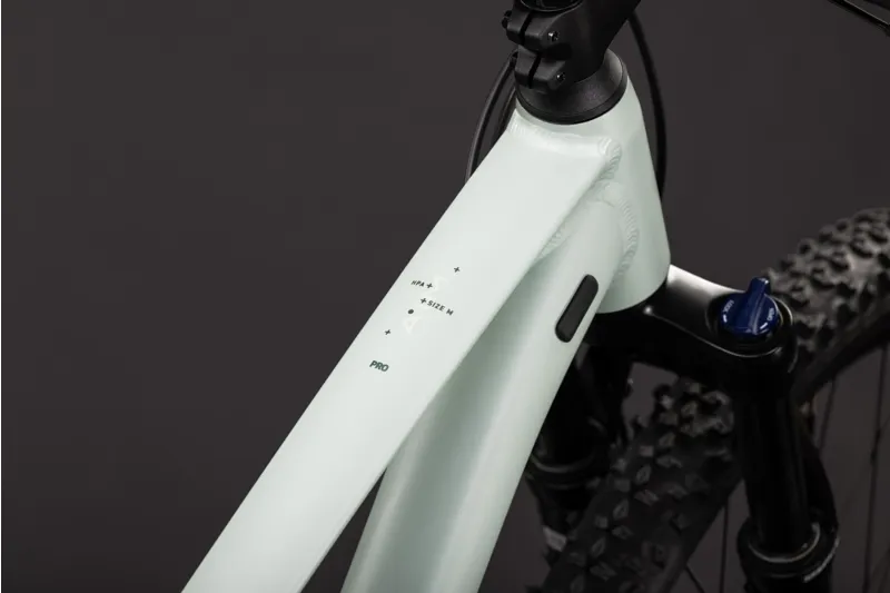 Cube Aim Pro Mountain Bike in Aloegreen and Green-1