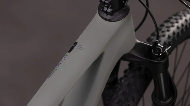 Cube Reaction C:62 ONE Mountain Bike in Oldgrey and Black-3