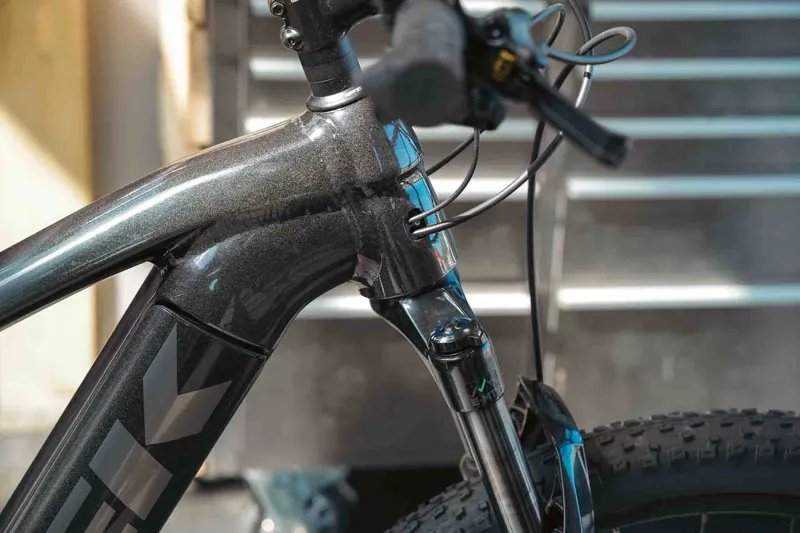 EX DEMO - TREK Powerfly 5 625Wh Gen 4 Electric Mountain Bike in Dark Prismatic and Trek Black-2