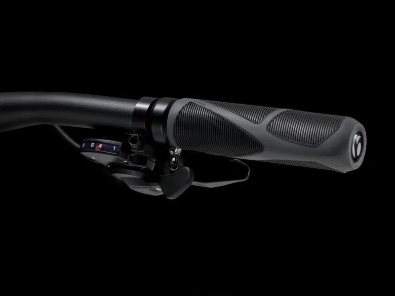 TREK Dual Sport 2 Gen 5 Hybrid Bike in Lava-2