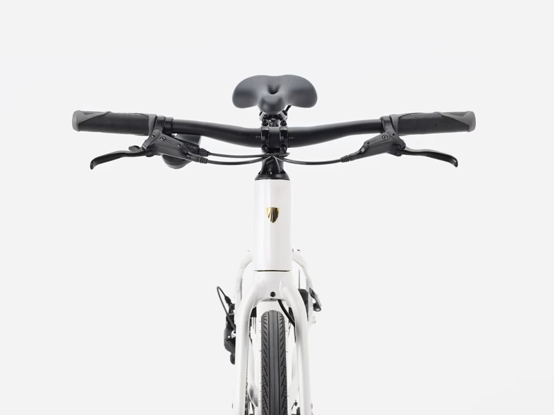 TREK FX 2 Midstep Gen 4 Hybrid Bike in Crystal White-3