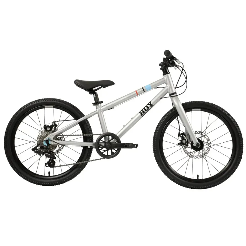 Hoy Pentland 20 Inch Kids Bike in Titanium Silver
