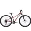 TREK Precaliber 24 inch Suspension Kids Bike in Sedona Red
