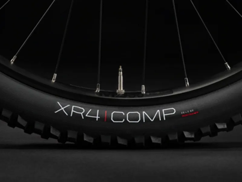 TREK Rail 5 Gen 3 625Wh Full Suspension Electric Mountain Bike in Mercury-10