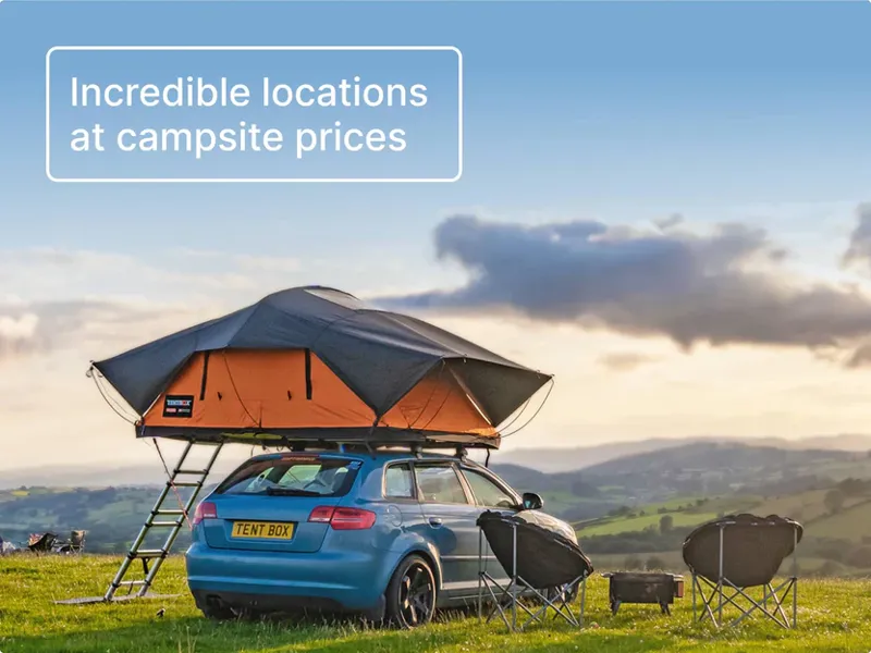 TentBox Lite XL in Forest-3