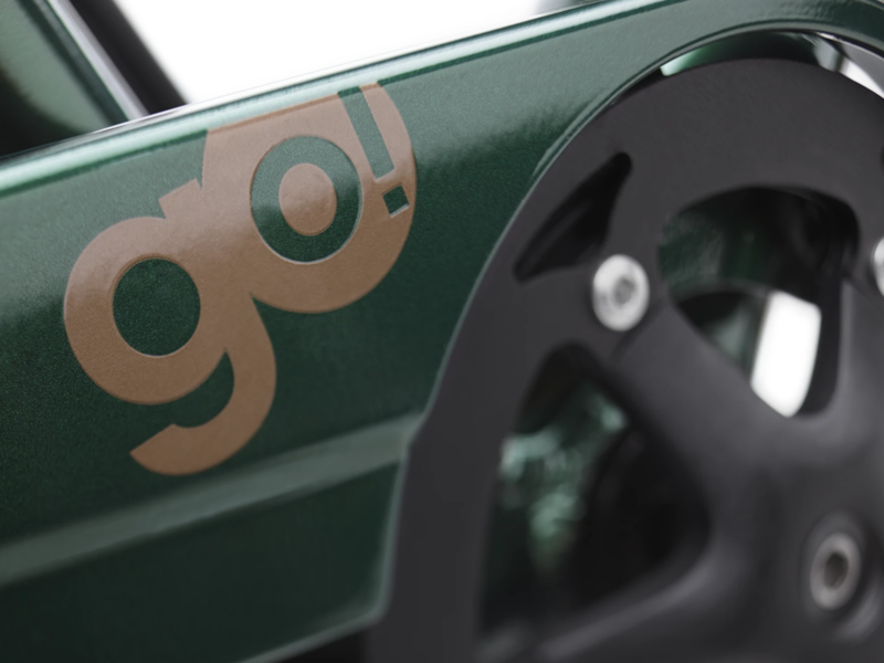 Electra Townie Go! 7D EQ Step Over Evergreen Metallic-2