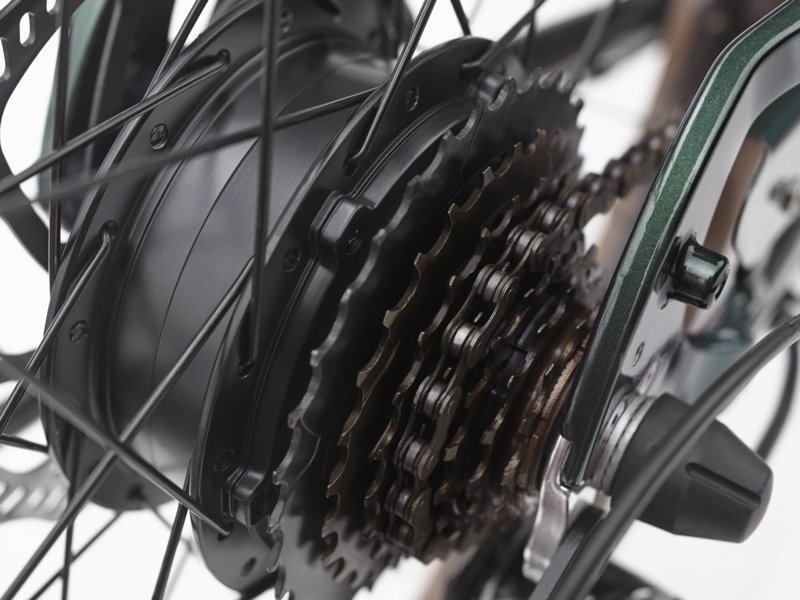 Electra Townie Go! 7D EQ Step Over Evergreen Metallic-4