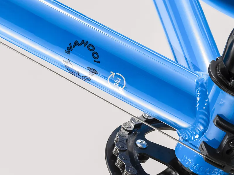 TREK Wahoo 24 inch Wheel Kids Bike Blue and Quicksilver-3