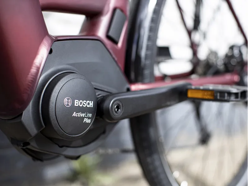 2021 Trek Verve+ 4 Lowstep 250wh Hybrid eBike in Red-2