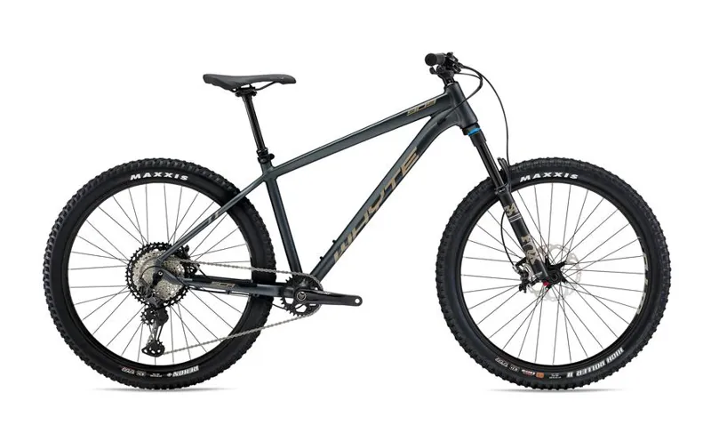2020 Whyte 909 Mountain Bike Granite / Silver