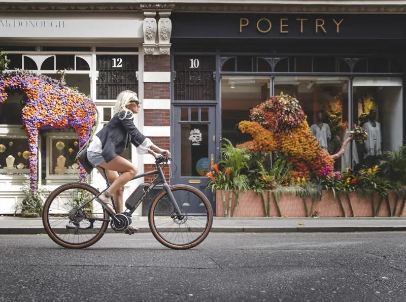 2021 Whyte Clifton e-Bike Matt Granite-5