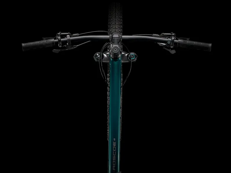 2021 Trek Roscoe 8 Aquatic/ Gunal-5