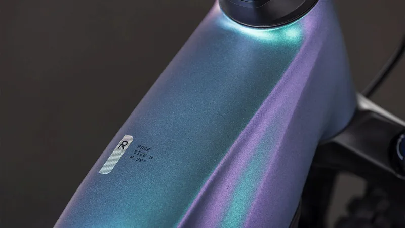 Cube Reaction Hybrid Race 800Wh Electric Mountain Bike in Polarlight and Prism-3