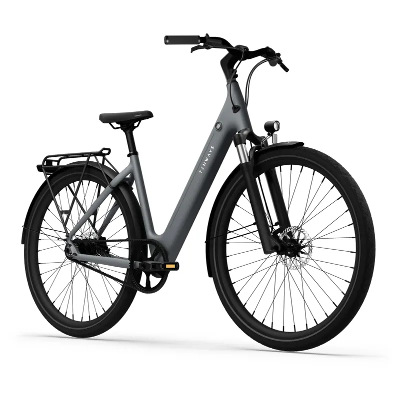 Tenways CGO 800S 380Wh Electricy City Bike in Pebble Grey-1