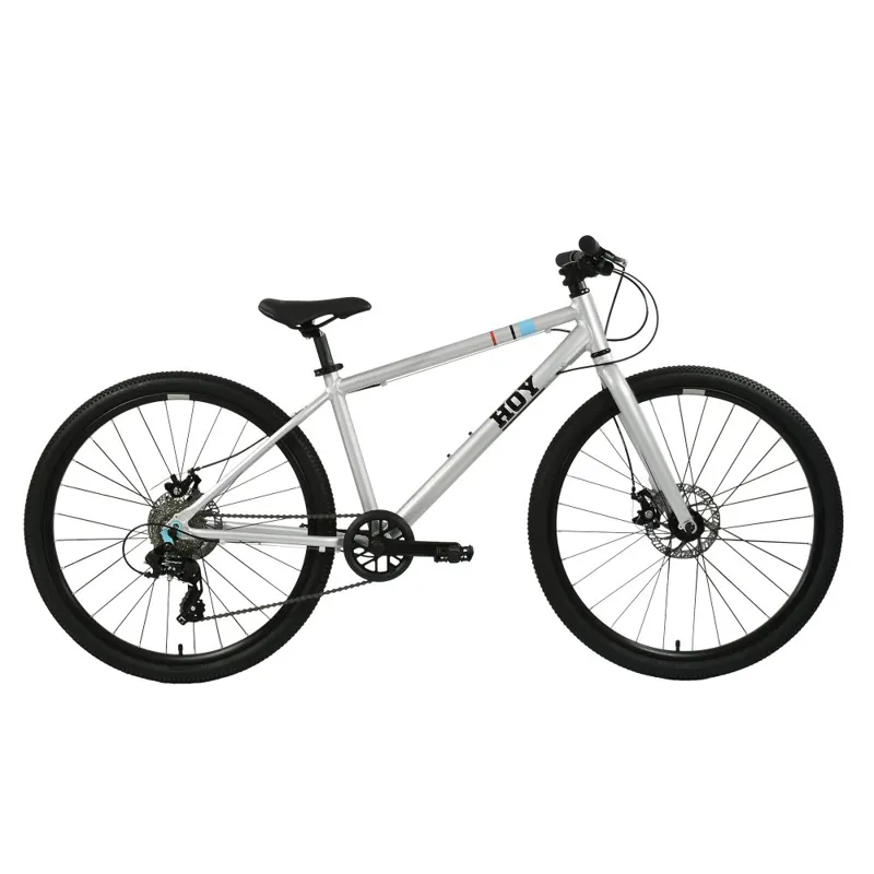 Hoy Pentland 26 Inch Kids Bike in Titanium Silver