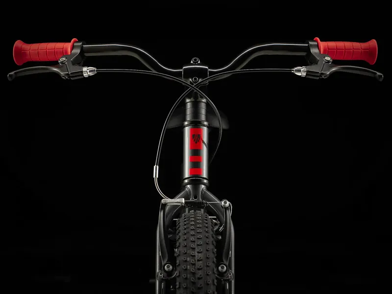 TREK Precaliber 20 Freewheel Kids Bike in Lithium Grey -4