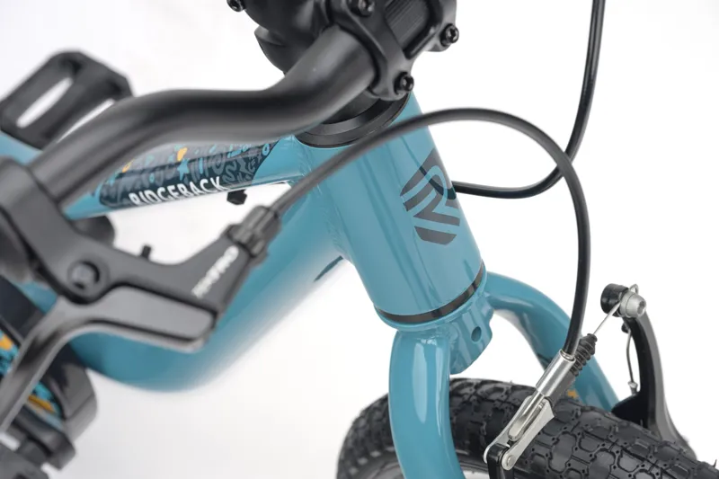Ridgeback MX14 Kids Bike in Turbo Teal-5
