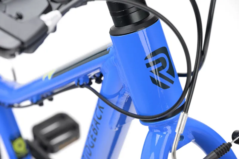 Ridgeback MX20 Kids Bike in Big Blue-2
