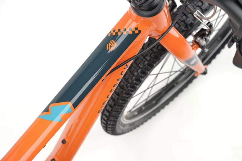 Ridgeback MX20 Kids Bike in Orla Orange-9