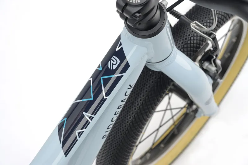 Ridgeback Dimension 16 inch Kids Bike in Bristol Blue-8