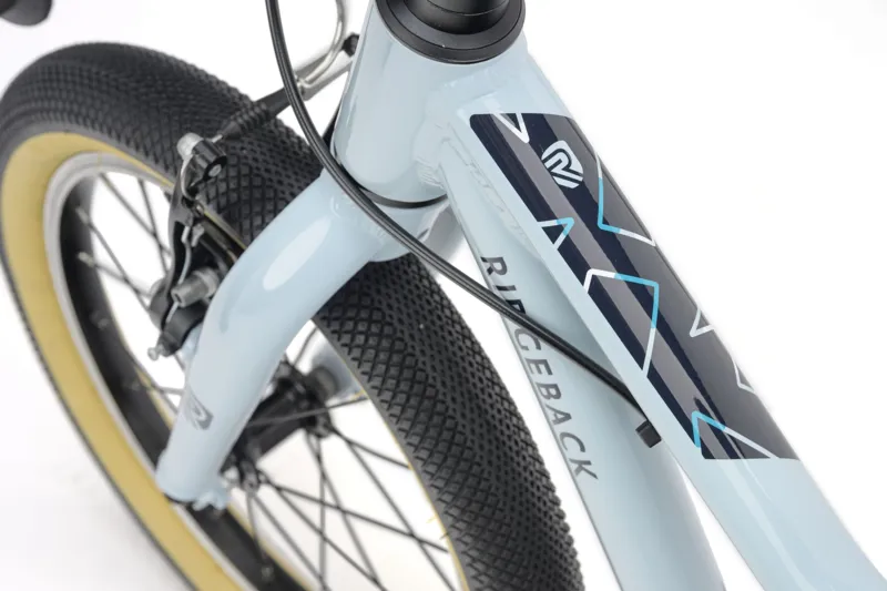Ridgeback Dimension 16 inch Kids Bike in Bristol Blue-10