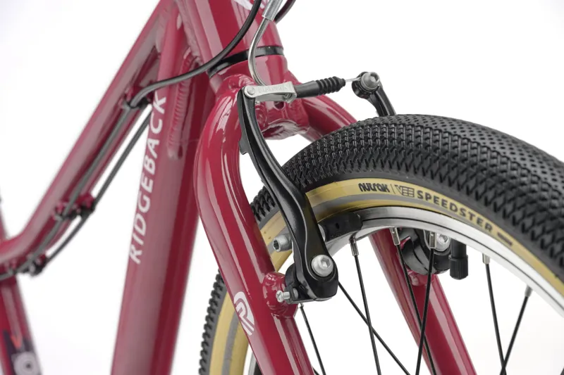 Ridgeback Dimension 20 Kids Bike in Perfectly Plum-3