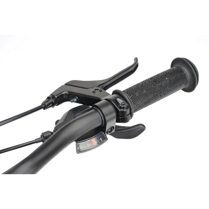 Ridgeback Dimension 20 Kids Bike in Perfectly Plum-11