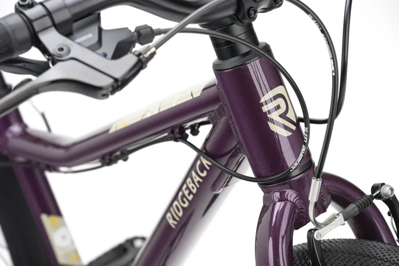Ridgeback Dimension 24 inch Kids Bike in Vanquish Violet-2