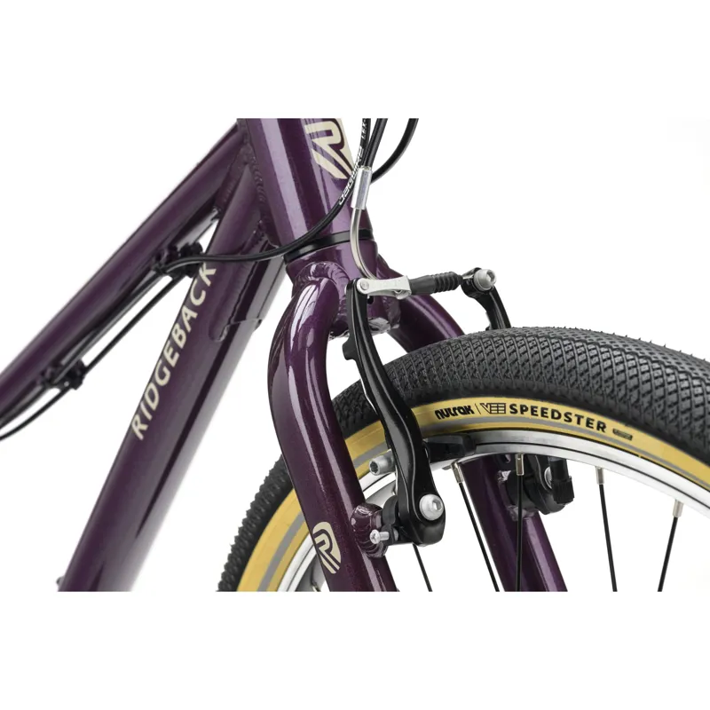 Ridgeback Dimension 24 inch Kids Bike in Vanquish Violet-4
